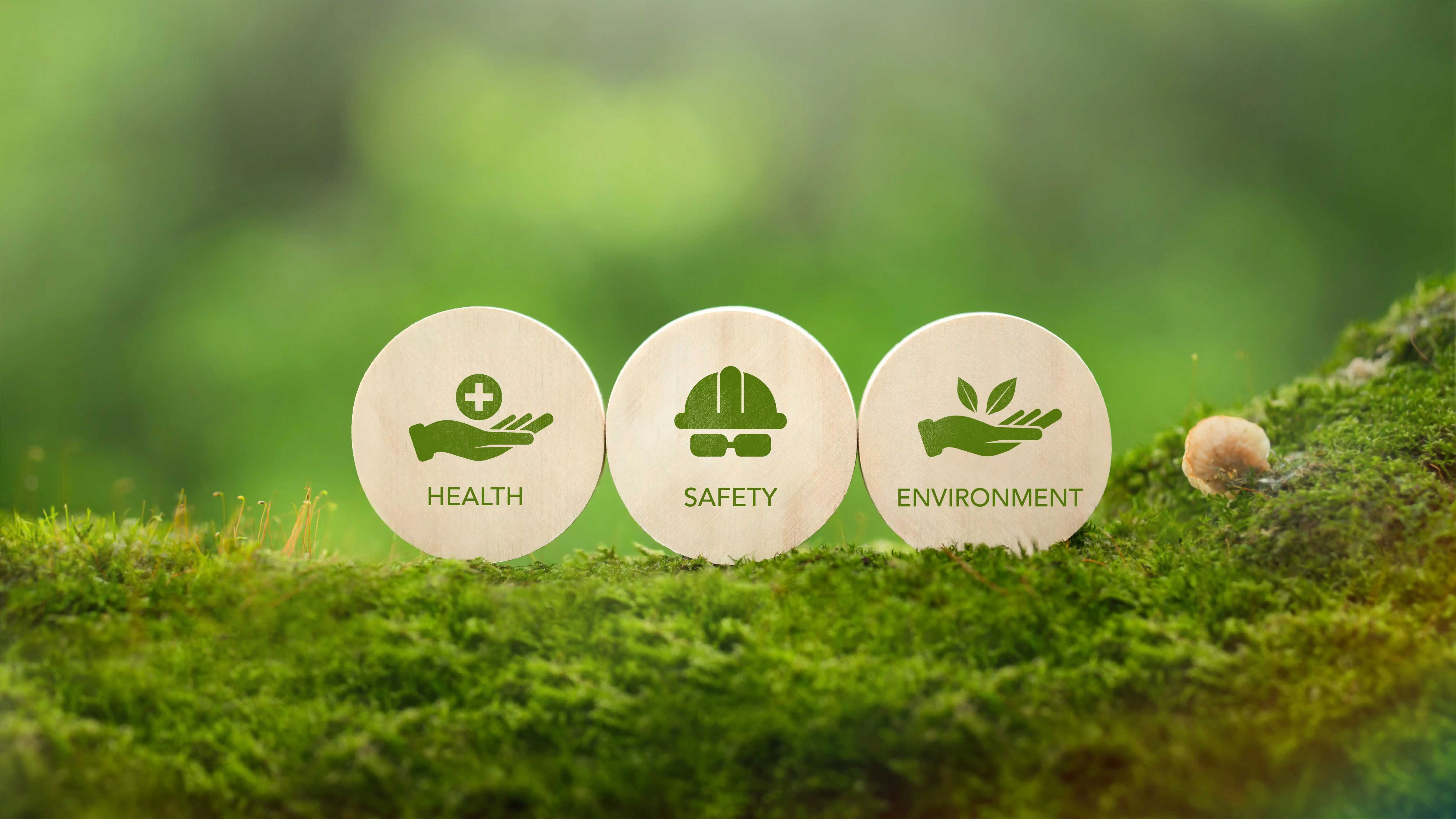 HSE and Environmental Compliance